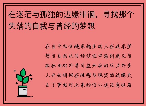 在迷茫与孤独的边缘徘徊，寻找那个失落的自我与曾经的梦想